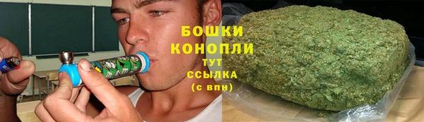 дживик Богородск