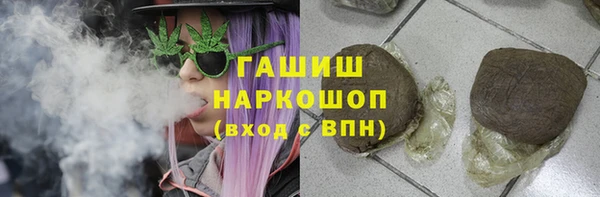 молекула духа Богородицк