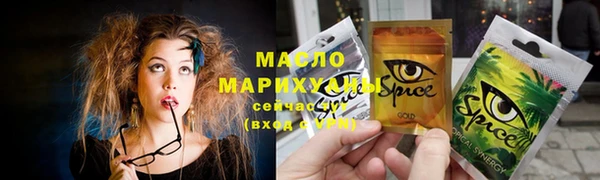 молекула духа Богородицк