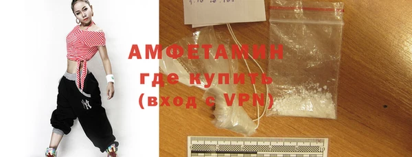 молекула духа Богородицк