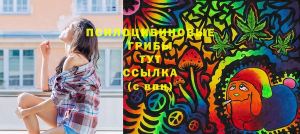 таблы Богданович