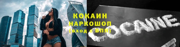 молекула духа Богородицк