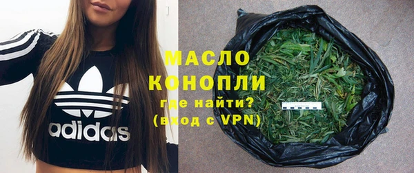молекула духа Богородицк