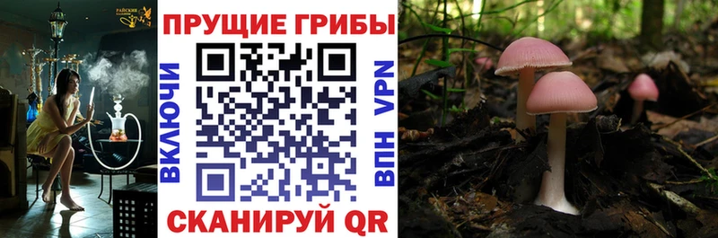 Галлюциногенные грибы ЛСД  Купить закладки  Мамадыш 